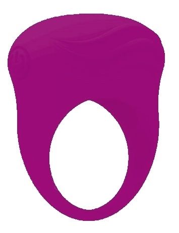 Фиолетовое вибрирующее эрекционное кольцо Bertram  Baile BI-210136-0603 - цена 