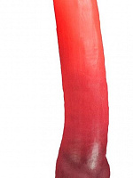 Красный фаллоимитатор  Зорг Лонг  - 42 см. Erasexa zoo113 с доставкой 