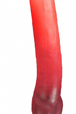 Красный фаллоимитатор  Зорг Лонг  - 42 см. Erasexa zoo113 с доставкой 