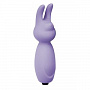  -   Emotions Funny Bunny Lavender 4007-03Lola 968 .