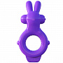 Эрекционное кольцо Ultimate Rabbit Ring Pipedream PD5821-12 - цена 
