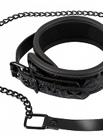       Collar with Leash Orion 2491974 1001   