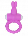 Розовое виброкольцо для пениса Power Rabbit Clit Cockring Lovetoy LV1423-pink - цена 