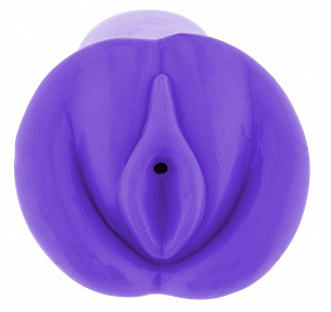Фиолетовый мастурбатор-вагина FUNKY COOCHIE COO D  Toy Joy 3006010012 - цена 