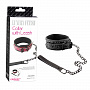 ׸     Collar With Leash  Erokay EK-3103BLK -  1 426 .