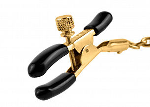 ׸      Gold Chain Nipple Clamps PD3977-27 2 012 .