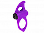 Фиолетовое эрекционное виброкольцо Lingus MAX  Adrien Lastic 30723 - цена 