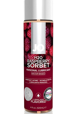        JO Flavored Raspberry Sorbet - 120 . System JO JO40117   