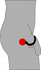 Кольцо на пенис с отростком для анальной стимуляции Orion 0523844 - цена 
